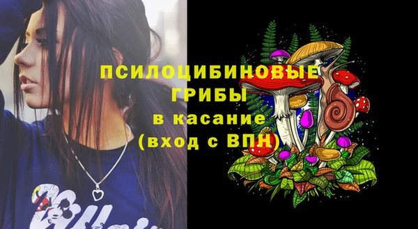 ПСИЛОЦИБИНОВЫЕ ГРИБЫ Новокубанск