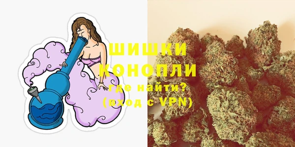 ПСИЛОЦИБИНОВЫЕ ГРИБЫ Новокубанск