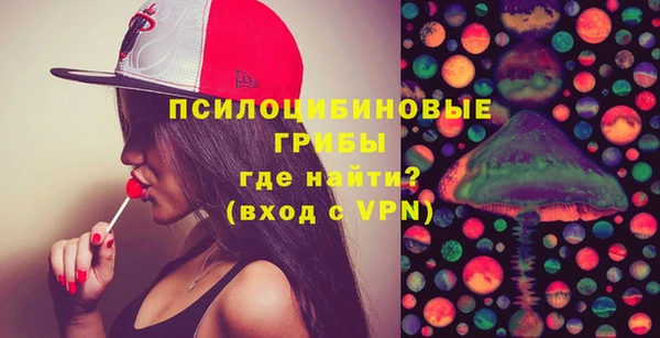 ПСИЛОЦИБИНОВЫЕ ГРИБЫ Новокубанск