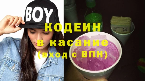 первитин Новодвинск