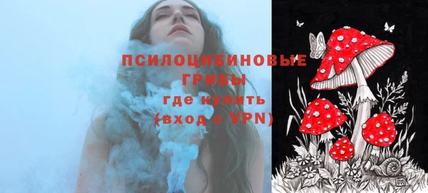 наркотики Новозыбков