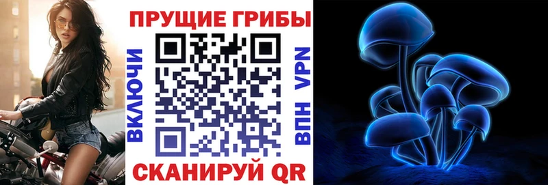 Псилоцибиновые грибы GOLDEN TEACHER  Купить закладки  Черноголовка 